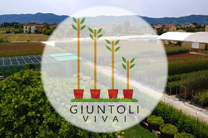 Vivai piante e fiori